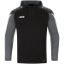 Afbeeldingen van Sweater met kap Performance zwart/antra light